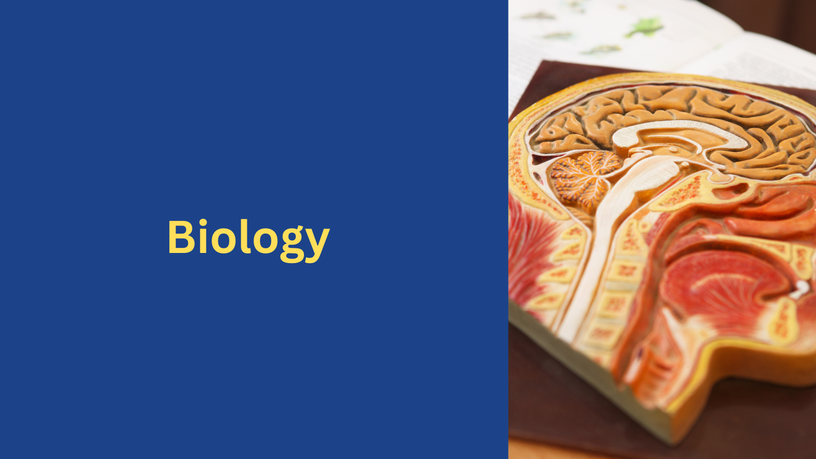 Biology
